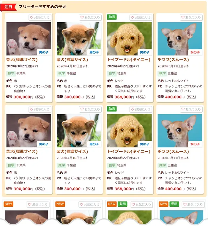 「悪質 ブリーダー リスト 新潟 猫」を探す前に知るべき現実