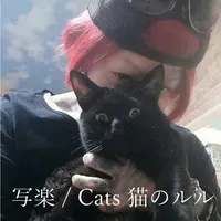 「考えるって楽しい!」:猫のルルが届ける日常の視点