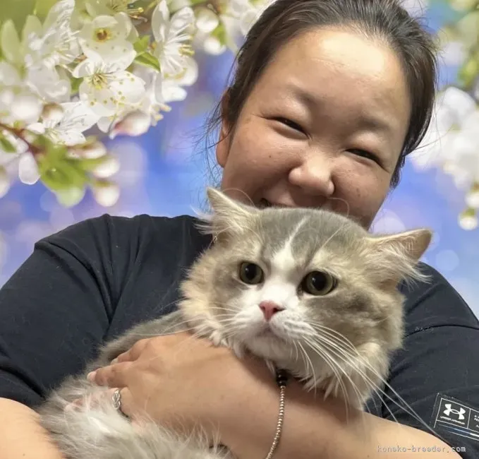 【宮崎 猫 ブリーダー】理想の子猫との出会い方