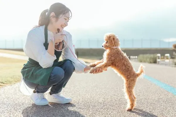 これがないと始まらない!ブリーダーに向いている人の「動物愛」