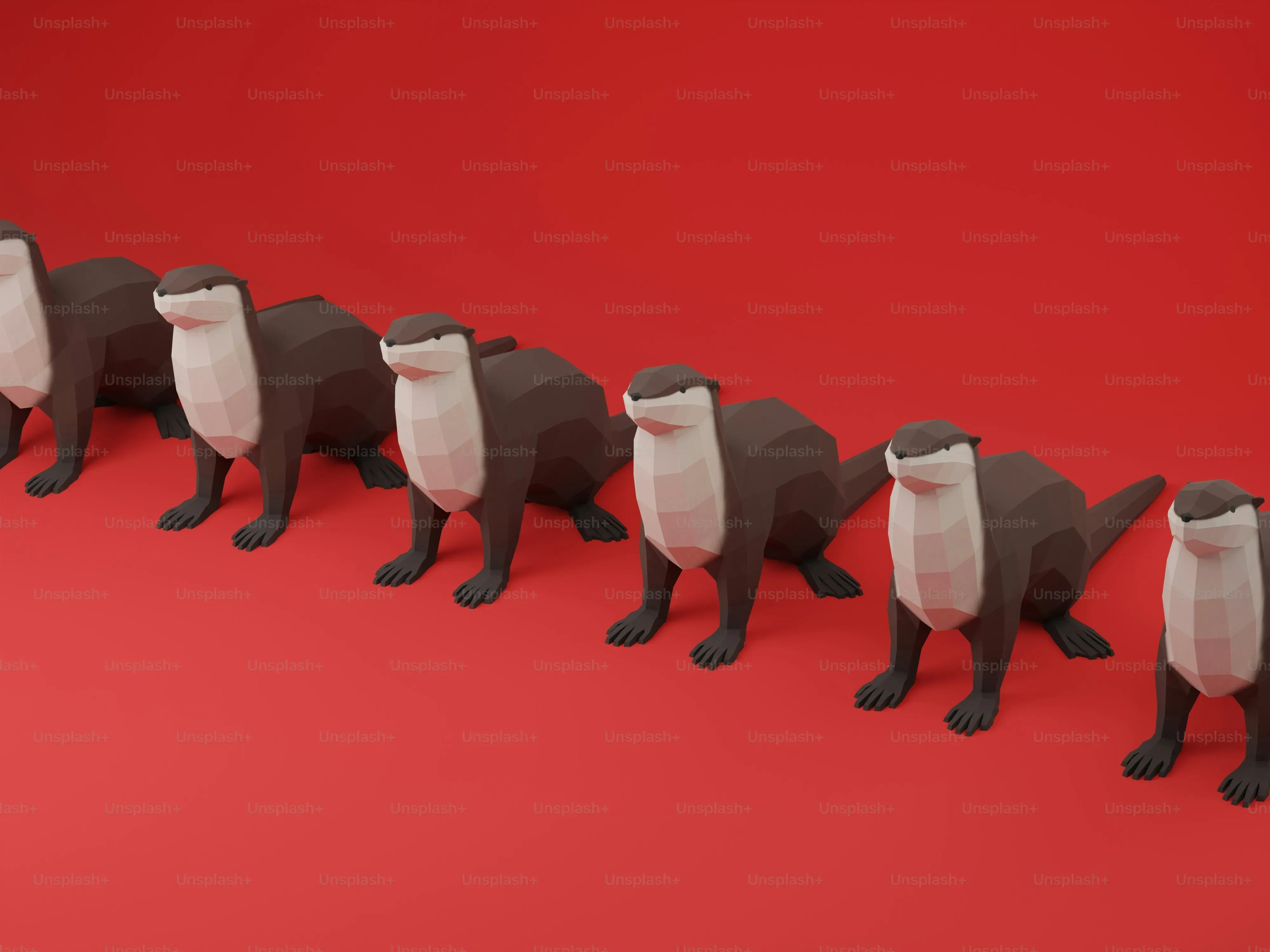 なぜ、猫の繁殖現場で問題が多発するのか？