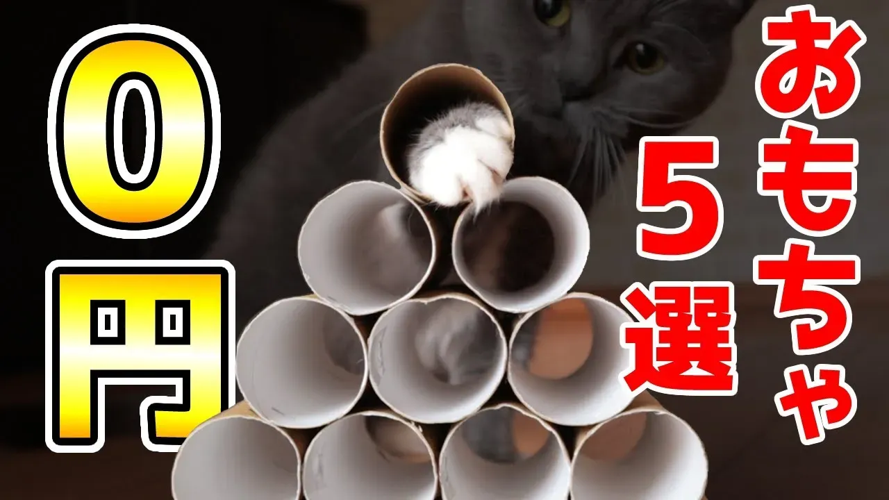 タダより高いものはない? 0円 猫を迎える覚悟