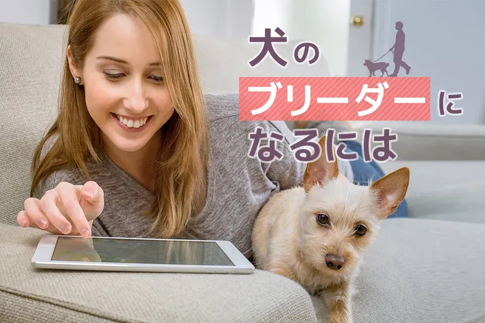 ブリーダーってどんな仕事?意外と知らないその日常