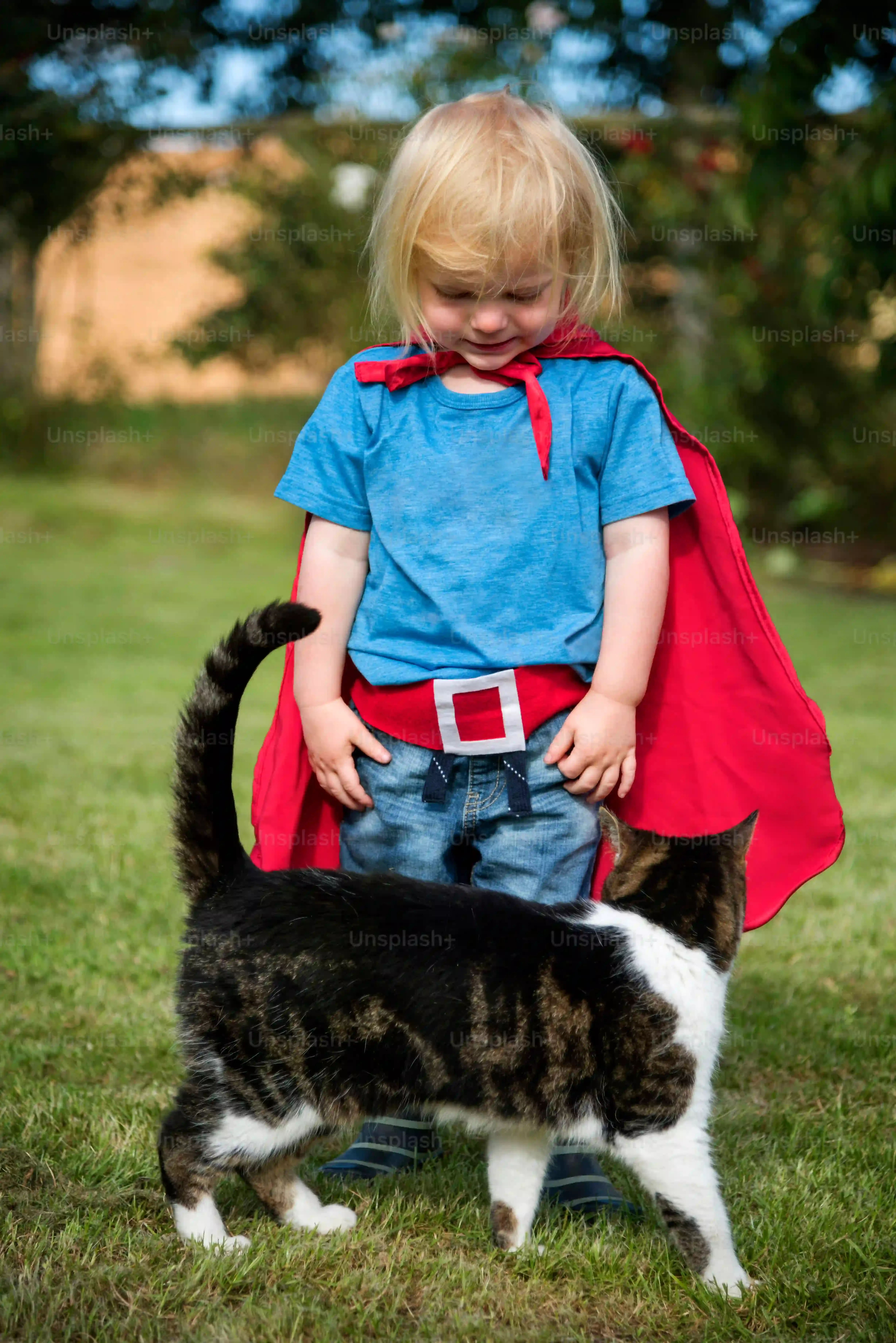 保護猫を迎えるメリット・デメリット:保護 猫 ブリーダー どっちで悩むあなたへ