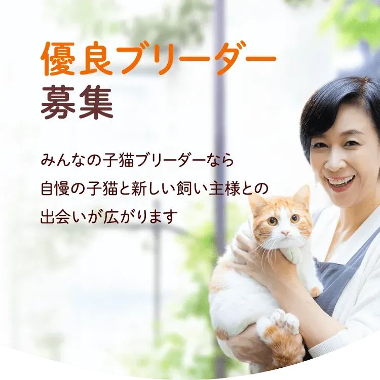 優良 ブリーダー 猫 を見極める確かな方法