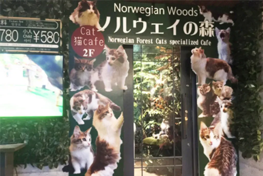 湯布院で猫と触れ合えるスポットって？「猫 湯布院」の魅力