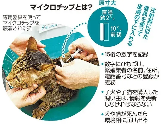 猫 ブリーダー マイクロチップに関するよくある疑問Q&A