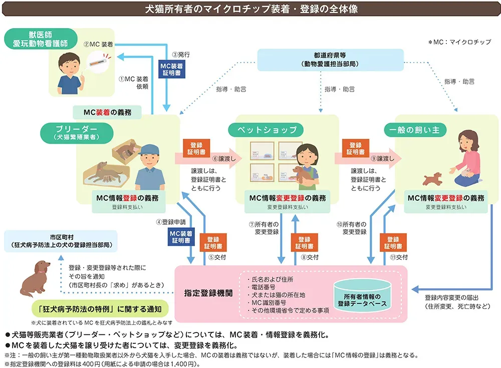 猫 ブリーダー マイクロチップの登録手続きと費用
