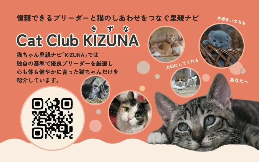 猫 ブリーダー 信頼関係を築くために大切なこと