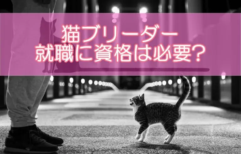 猫 ブリーダーのメリット、それは命への責任と未来