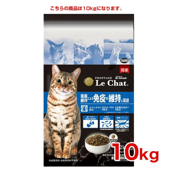 猫 ブリーダーズとは？その役割と魅力