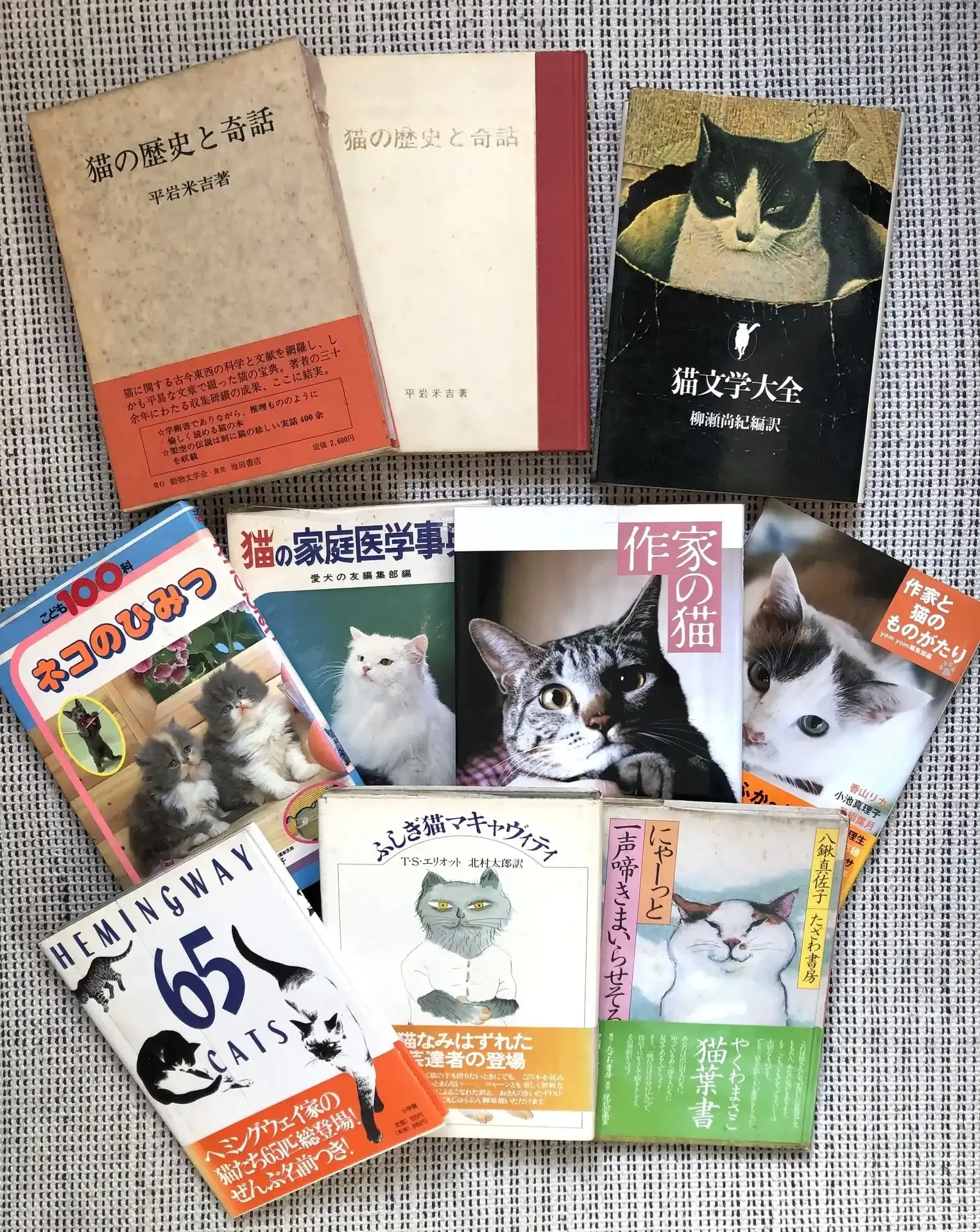 猫との暮らしを始めるあなたへ:『猫 ブリーダー 本』が提供するサポートとQ&A