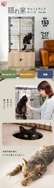 猫をブリーダーから迎えた後に問題発覚...返品できる?