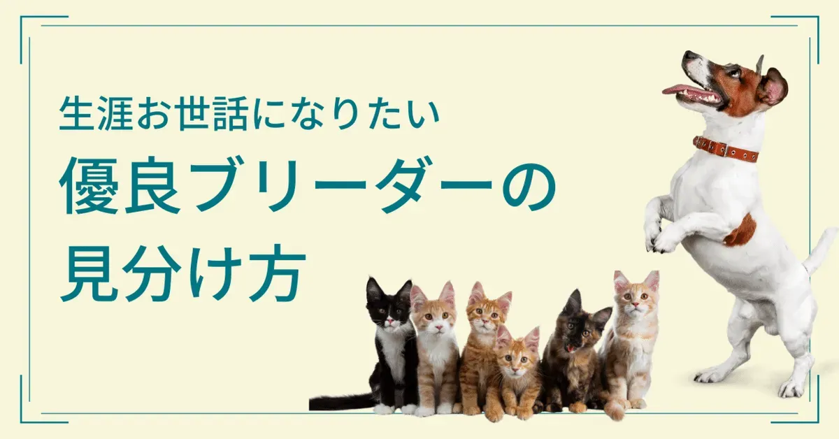 猫を迎えるならブリーダー？その理由とメリット