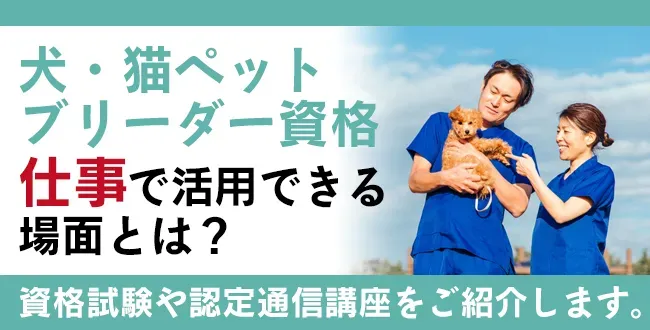 猫ブリーダーってどんな仕事?命と向き合う責任