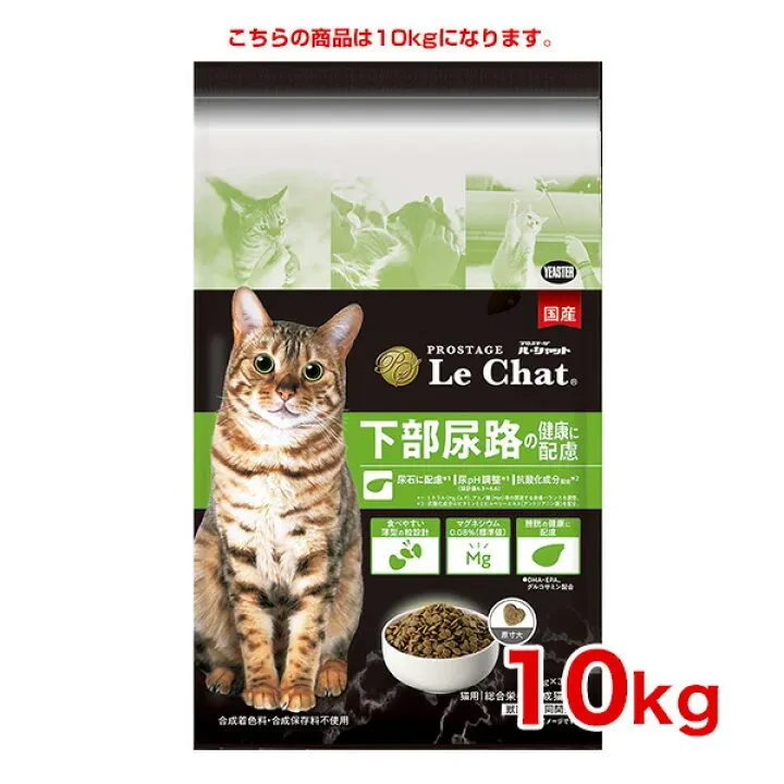 猫ブリーダーズとは?安心できる出会いの場所