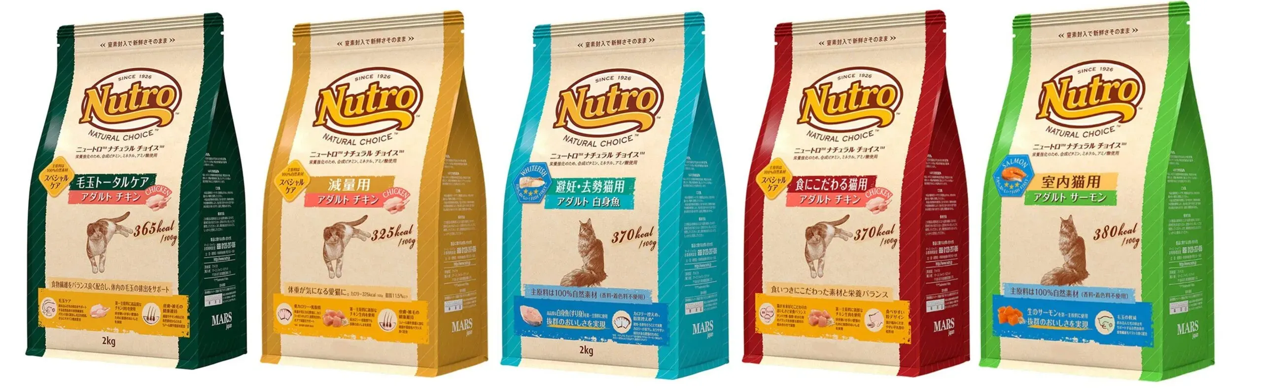 猫ブリーダー直伝!猫 ブリーダー フードの切り替え方と注意点