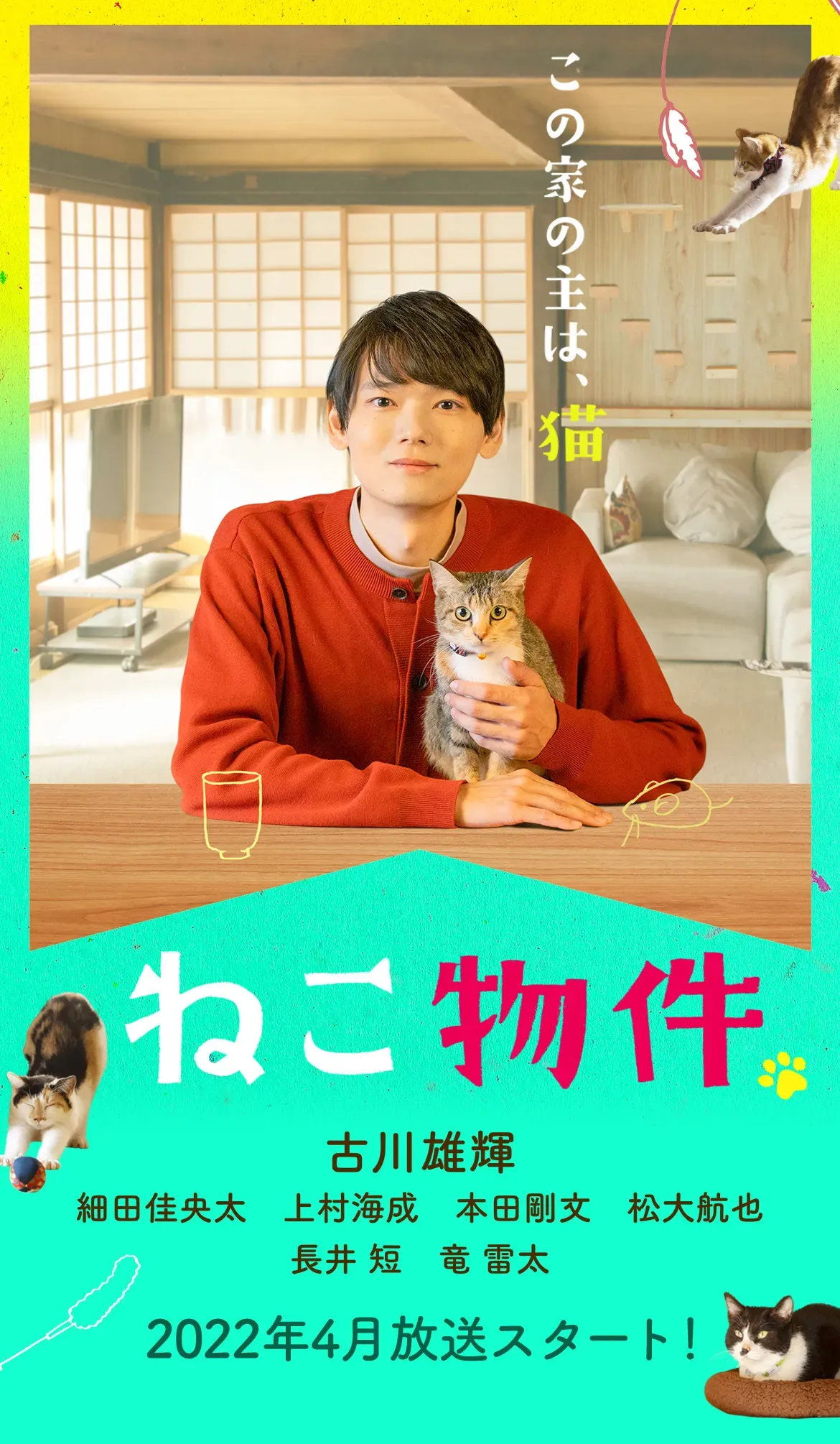 ねこ物件ドラマと映画の魅力に迫る！猫好きが泣いて喜ぶ究極ガイド【必見】