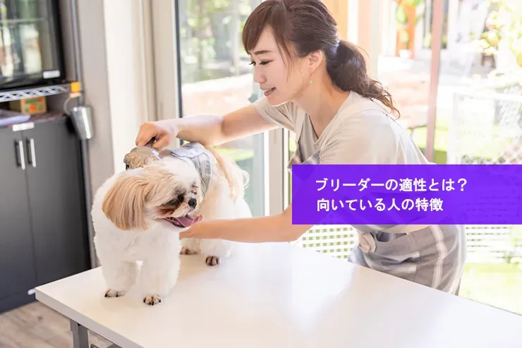 ブリーダーに向いている人とは？成功者が持つ驚異的な適性を徹底分析